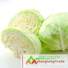 2012 repollo fresco vegetal chino nuevo